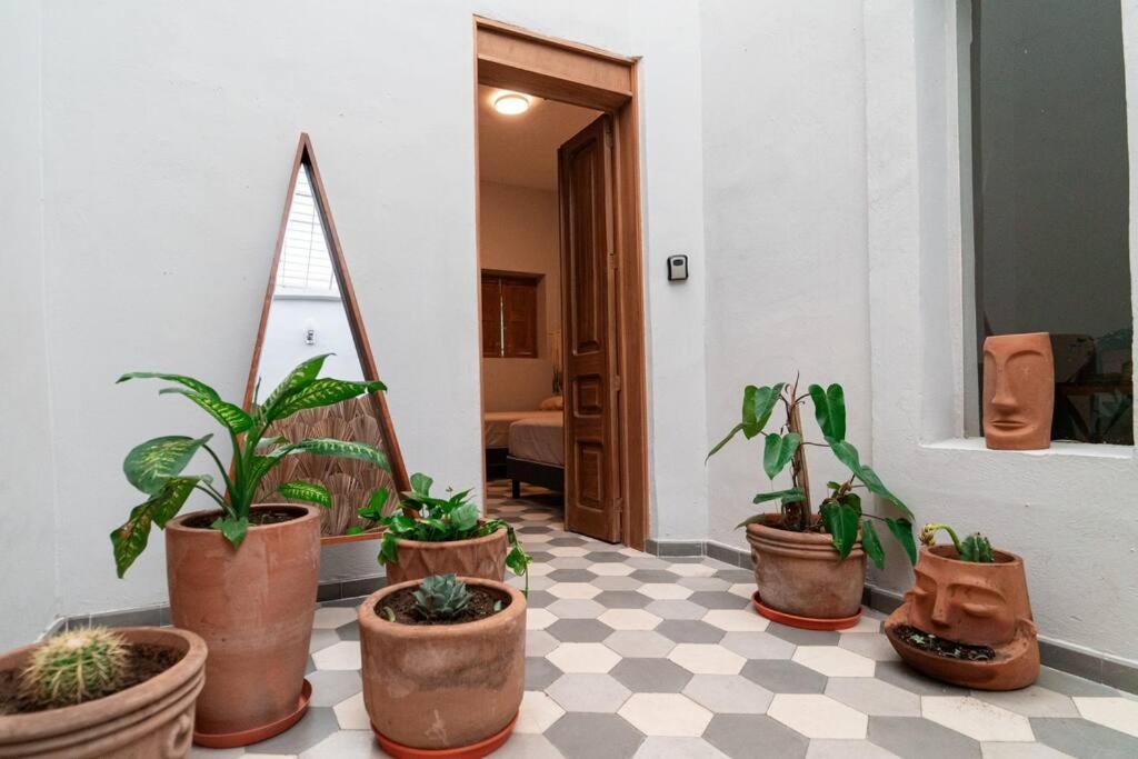瓜达拉哈拉Casa Del Desierto别墅 外观 照片